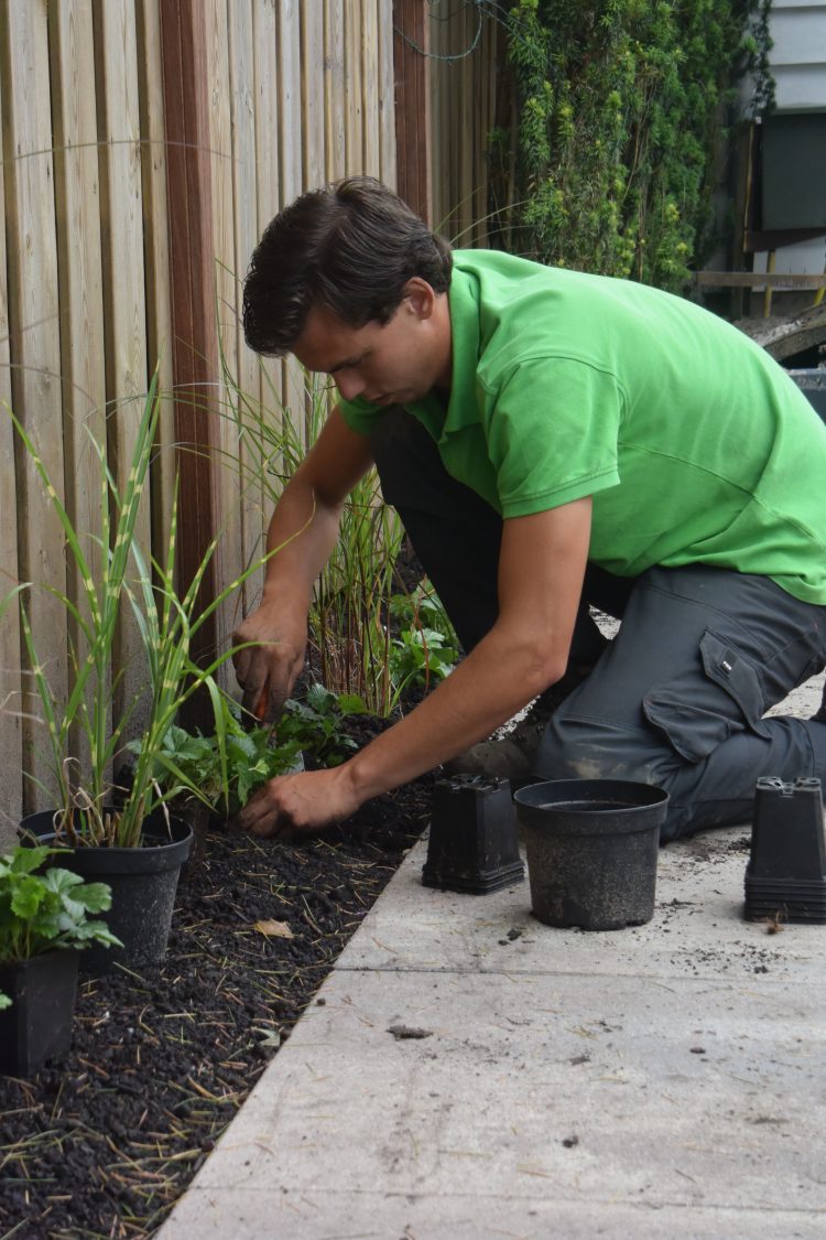 tuinonderhoud