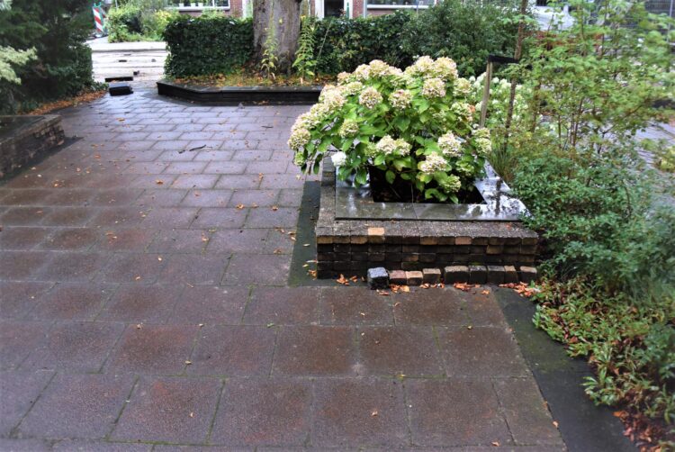 Dordrecht particuliere tuin - oude situatie