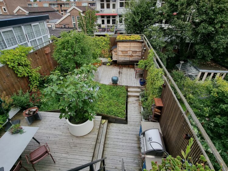 resultaat daktuin Rotterdam