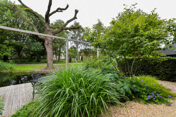 groene tuin aan het water