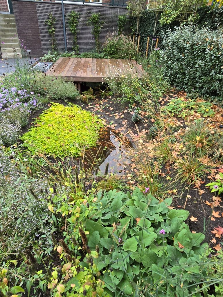 wadi staat vol met water na regenbui