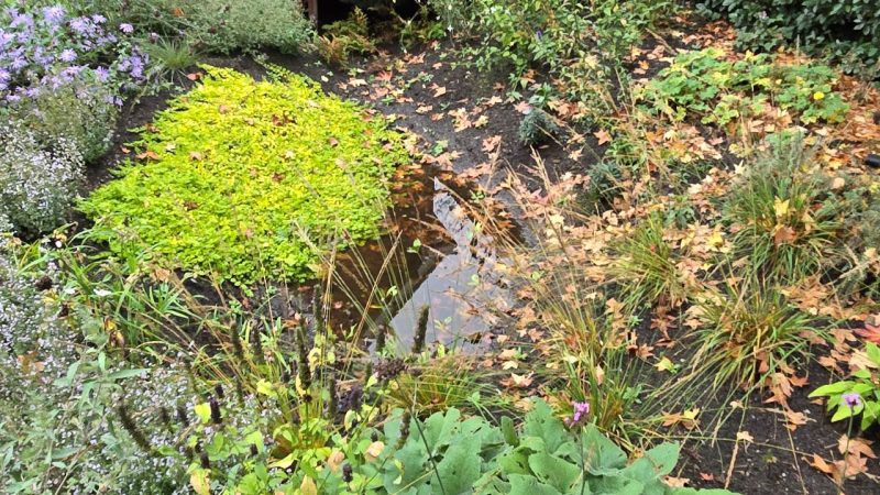 wadi staat vol met water na regenbui