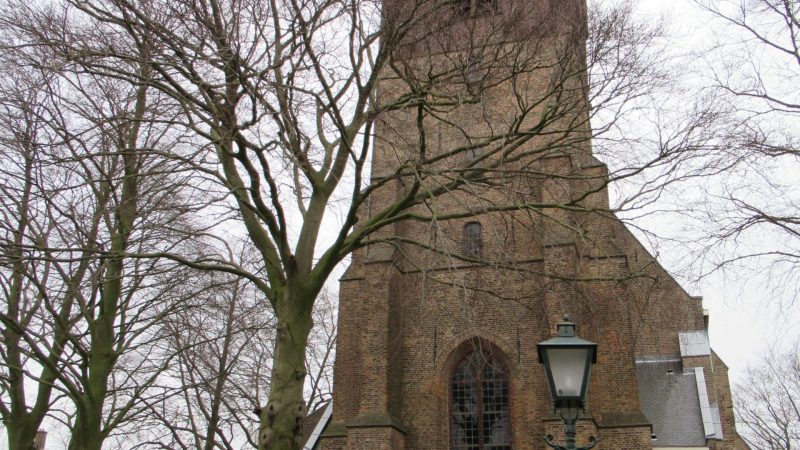Al 100 jaar Rode beuken rond de Singelkerk